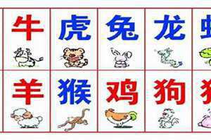 马的三合贵人和6合贵人(马的六合)
