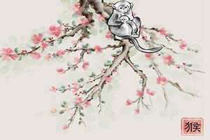 属猴和属兔的适合做夫妻吗 属猴和属兔的做生意合不合财