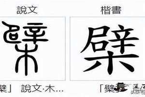 草字头下面一个辟一个木(一个辟一个木)
