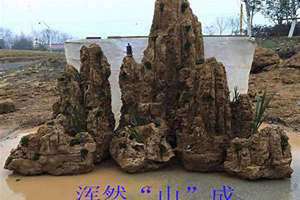吸水石假山的制作方法(吸水石)