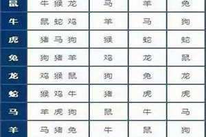 十二生肖最佳婚配表猴与狗(十二生肖最佳婚配)
