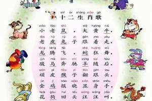 十二生肖背诵口诀 拼音(十二生肖背诵口诀)