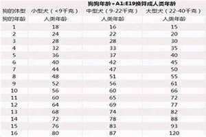 属狗年龄对照表大全(属狗年龄对照表)