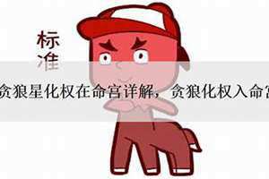 贪狼化权入命宫(贪狼化权)