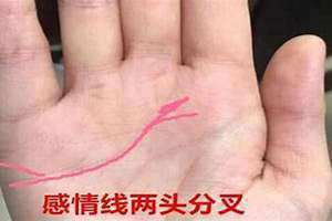 手相感情线分叉图解 女生手相感情线分叉