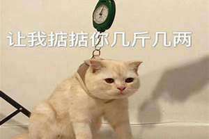 几斤几两算命对照表 几斤几两命查询