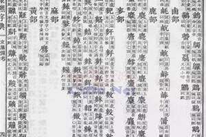 瓷都起名网免费测名公司 瓷都起名网免费取名