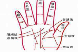 掌纹图解女右手详解婚姻线(掌纹图解女右手详解)