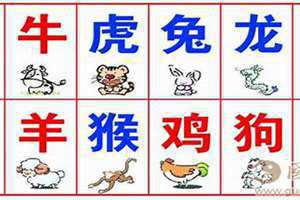 12生肖的顺序是怎么排的(12生肖的顺序)