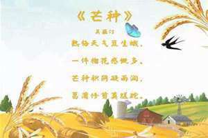 芒种古诗四句(芒种古诗)
