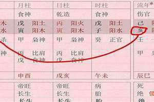 壬子时男命 壬子时柱女命运