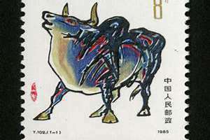 1985年的牛