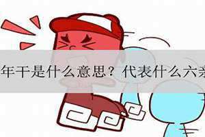 年支和年干是什么意思(年干是什么意思)