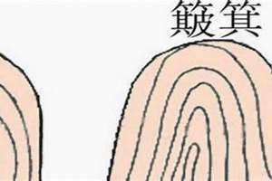 手指斗和簸箕的图片 手指斗和簸箕解说图