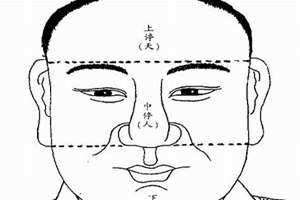 三停五眼(三停)