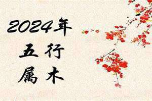 2024属什么生肖属相(2024属什么)
