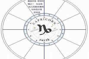 10宫宫主星(10宫)