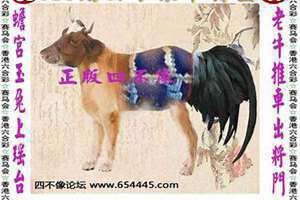 四不像论坛资料下载(四不像论坛)
