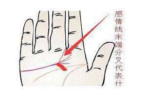 感情线分叉20种图解(感情线分叉)