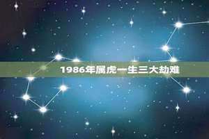 98年虎哪年才开始发财 83年猪哪年才开始发财