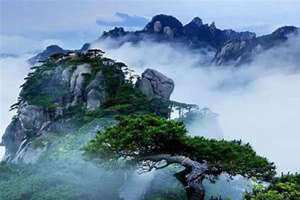 梦见山体崩塌是什么兆头(梦见山)