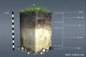土丘是什么意思百科 土丘是哪里