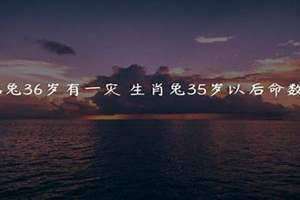 87年属兔37岁有一劫(87年属兔36岁有一灾)