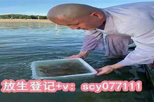 放生口诀什么时候念 放生口诀回响