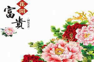花开富贵意思寓意是什么 花开富贵意思和寓意