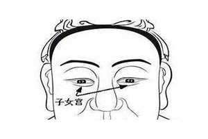 子女宫怎么看