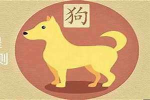 属狗的今年运势怎么样2024(属狗的今年运势)