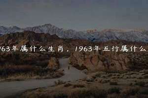 1963年属兔的是什么命(1963年属)