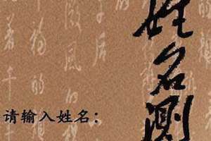 姓名测试配对缘分(姓名测试)