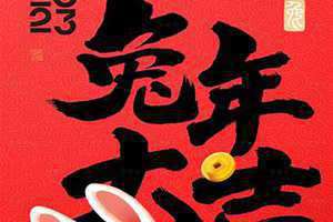 2023年兔年是辛卯年吗(2023年兔年)