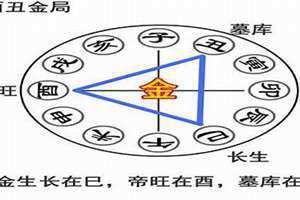 巳酉丑三合会发生什么(巳酉丑)