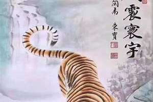 甲寅虎五行属什么 甲寅虎是什么命