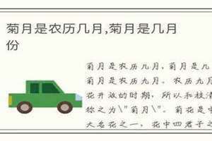 荷月是农历几月(菊月是农历几月)
