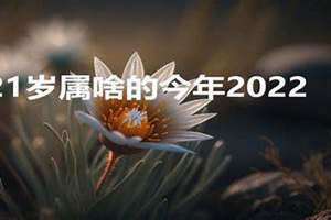 21岁属啥的今年2024 21岁属啥的?哪一年出生