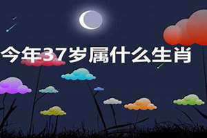 37岁属啥的今年2024 37岁属啥的哪年出生