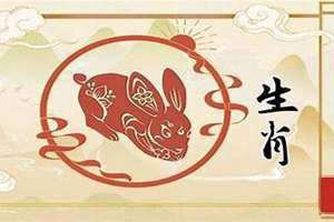 马和兔婚姻相配吗属相合不合(马和兔婚姻相配吗)