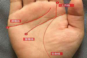 智慧线怎么看图解(智慧线怎么看)