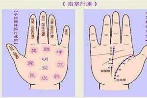 拍照看手相算命图解 拍照看手相算命软件