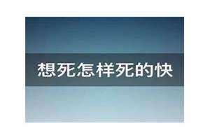 怎样死的快