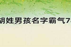胡姓男孩名字简单大方洋气 胡姓男孩名字属兔