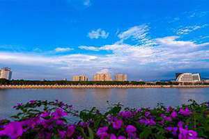 多彩家园开奖历史记录查询(多彩家园)