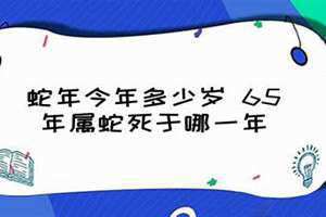 蛇年今年多少岁2024 蛇年今年多少岁最大年