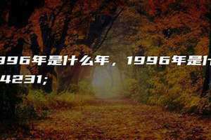 1996年是什么年生肖(1996年是什么年)