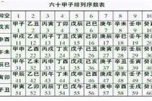 辛卯时是几点 已丑时是几点
