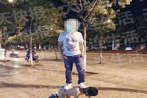 男人舔女人逼