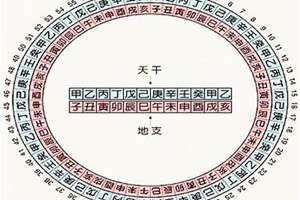 天干地支怎么看婚姻 天干地支怎么看年月日